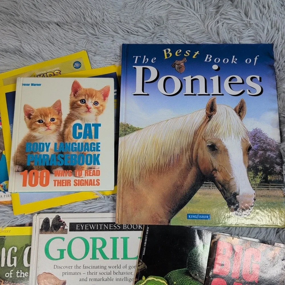Random Lot of 20 Children Books‎ Animals Homeschool Gorilla Bears Cats